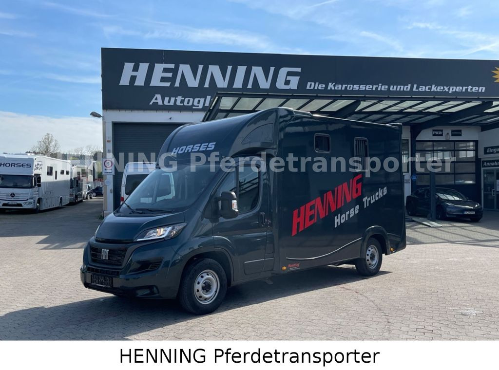 Fiat Ducato 3 - Sitzer *VORFÜHRUNGSFAHRZEUG* - Pferdetransporter: das Bild 1 Fiat Ducato 3 - Sitzer *VORFÜHRUNGSFAHRZEUG* - Pferdetransporter: das Bild 1