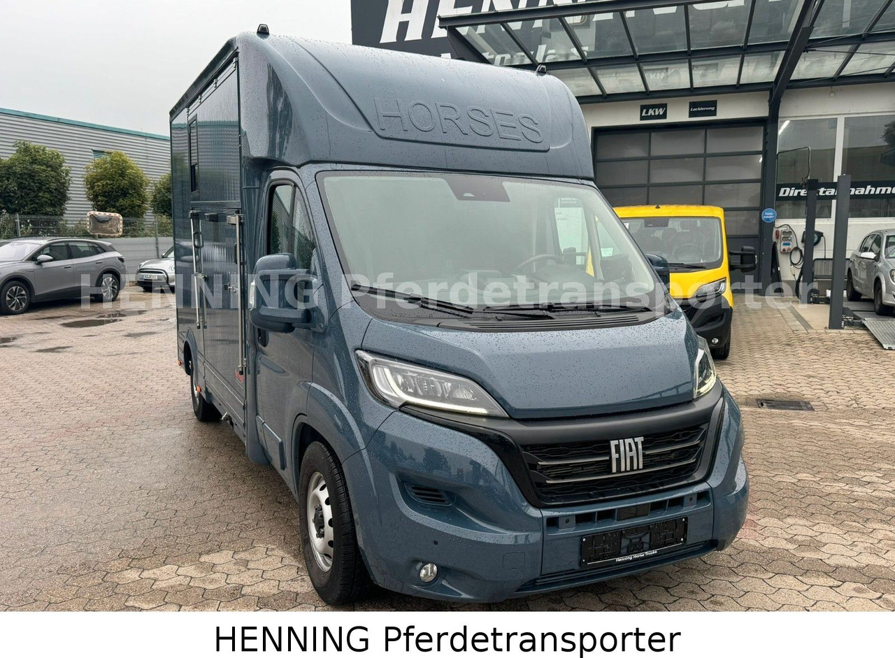 Fiat Ducato *AUTOMATIK* 3 - Sitzer - Tiertransporter LKW: das Bild 2 Fiat Ducato *AUTOMATIK* 3 - Sitzer - Tiertransporter LKW: das Bild 2