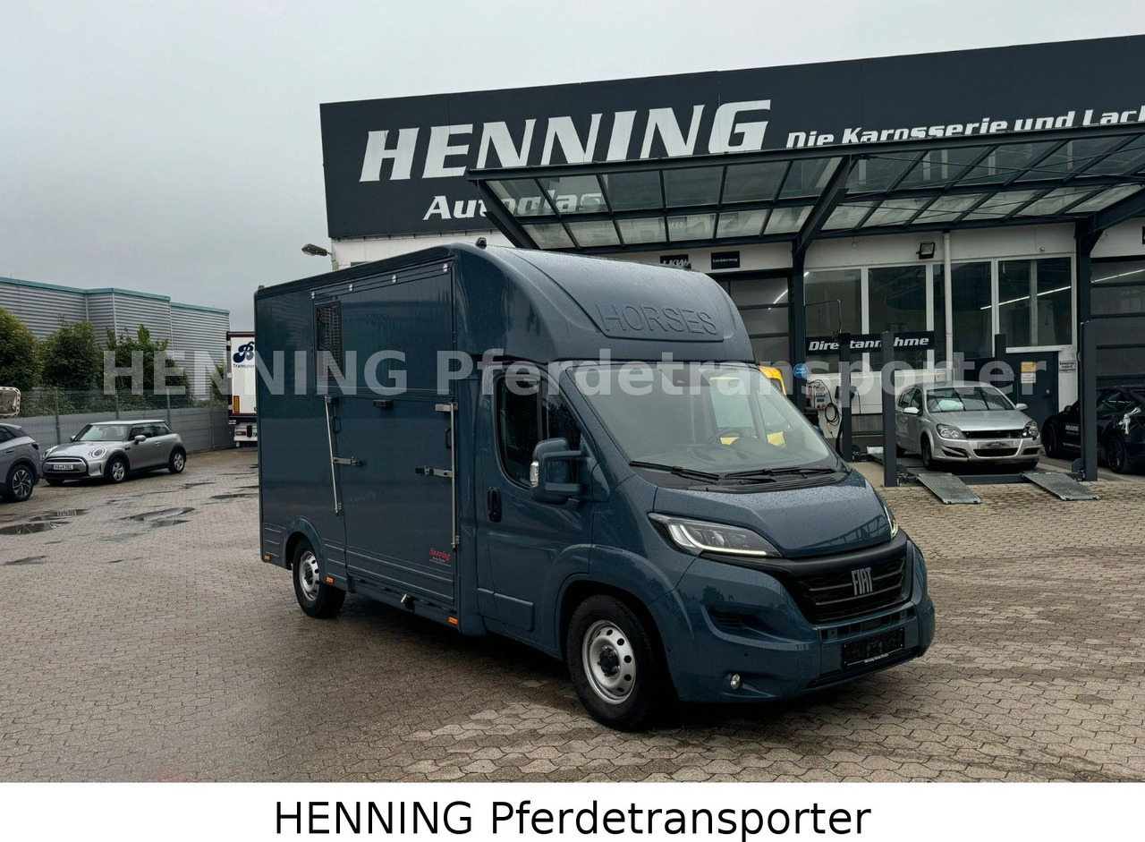 Fiat Ducato *AUTOMATIK* 3 - Sitzer - Tiertransporter LKW: das Bild 1 Fiat Ducato *AUTOMATIK* 3 - Sitzer - Tiertransporter LKW: das Bild 1