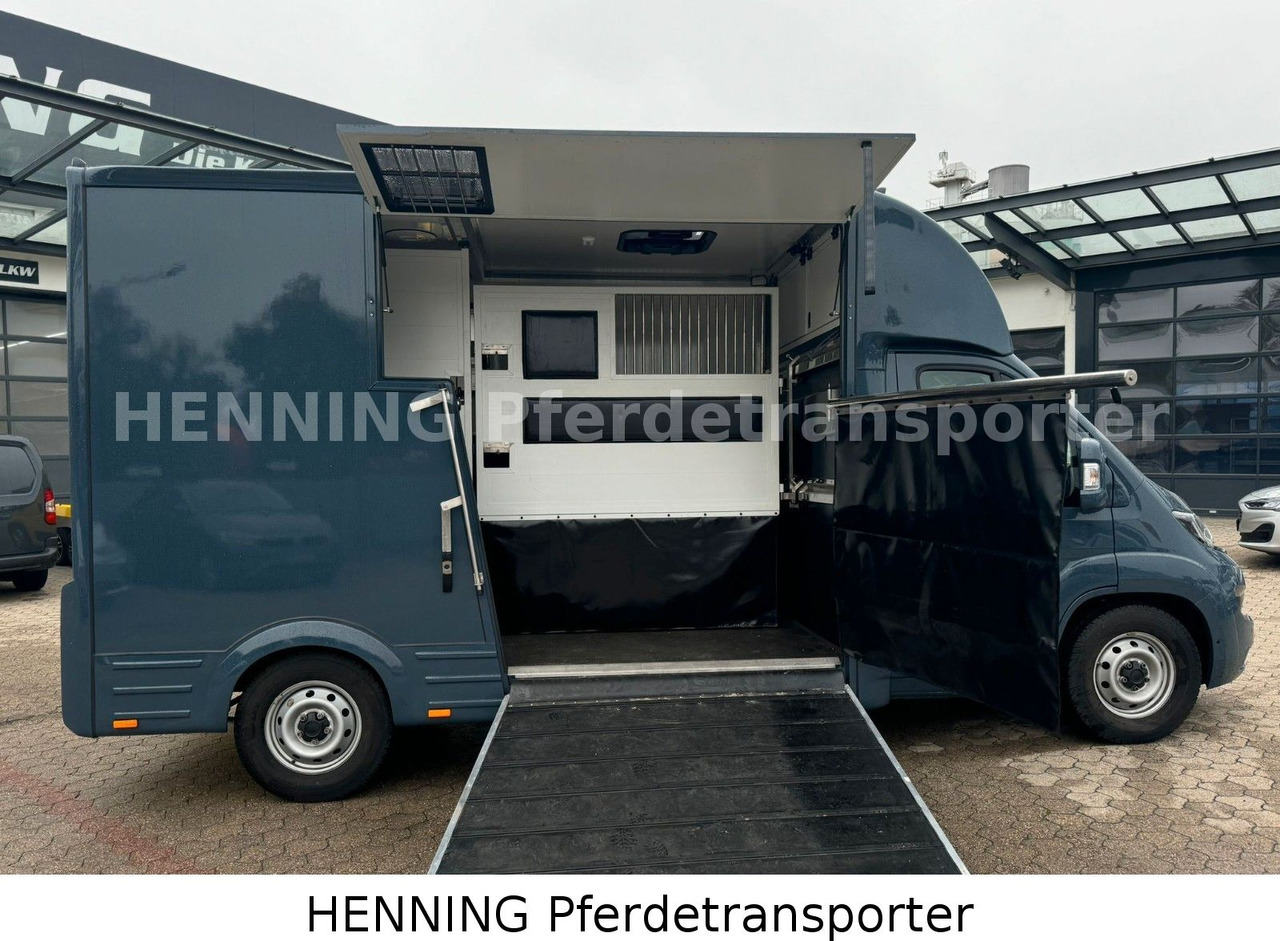 Fiat Ducato *AUTOMATIK* 3 - Sitzer - Tiertransporter LKW: das Bild 4 Fiat Ducato *AUTOMATIK* 3 - Sitzer - Tiertransporter LKW: das Bild 4