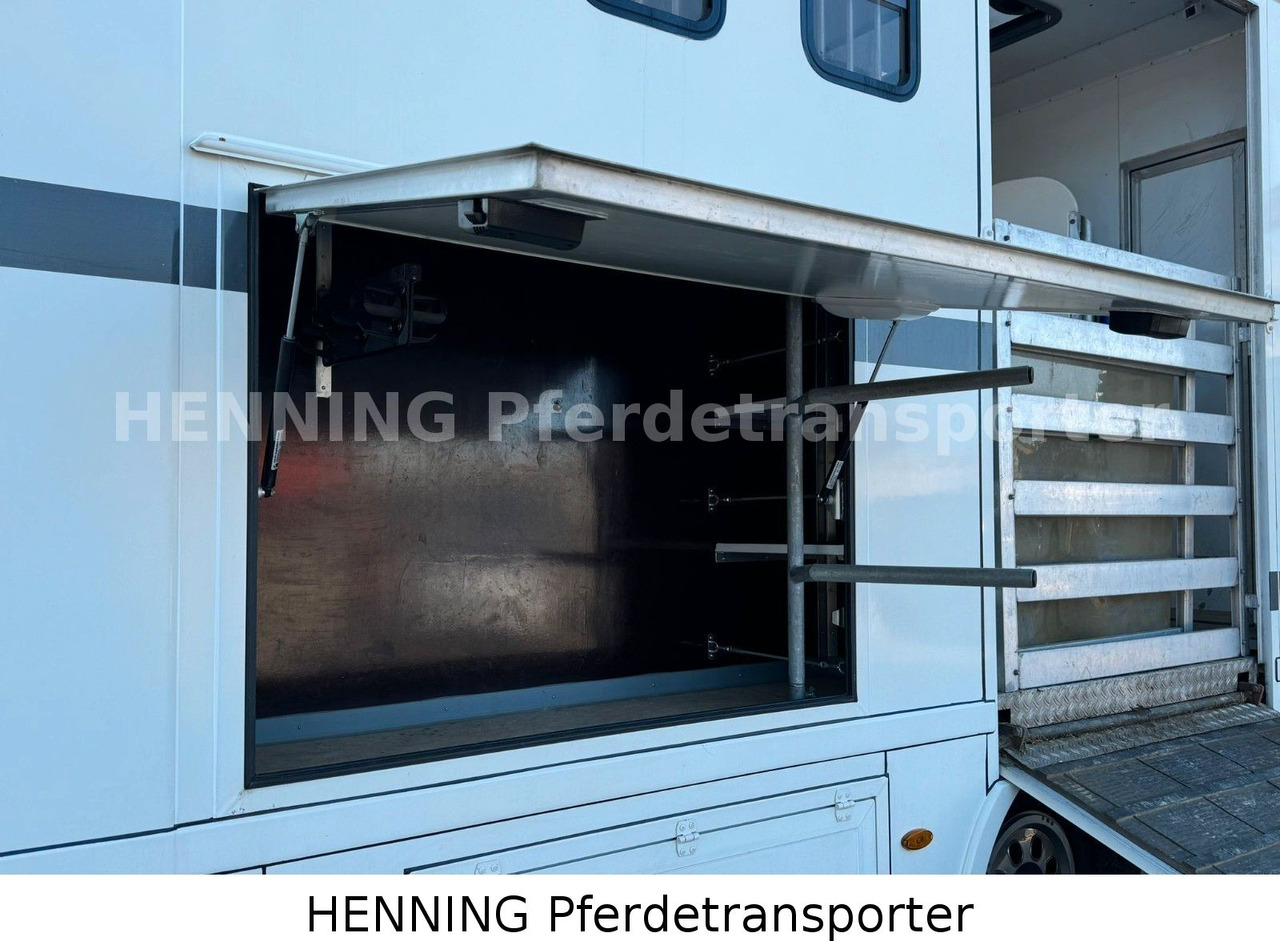 Tiertransporter LKW MAN TGL 8.180 4x2: das Bild 6 Tiertransporter LKW MAN TGL 8.180 4x2: das Bild 6