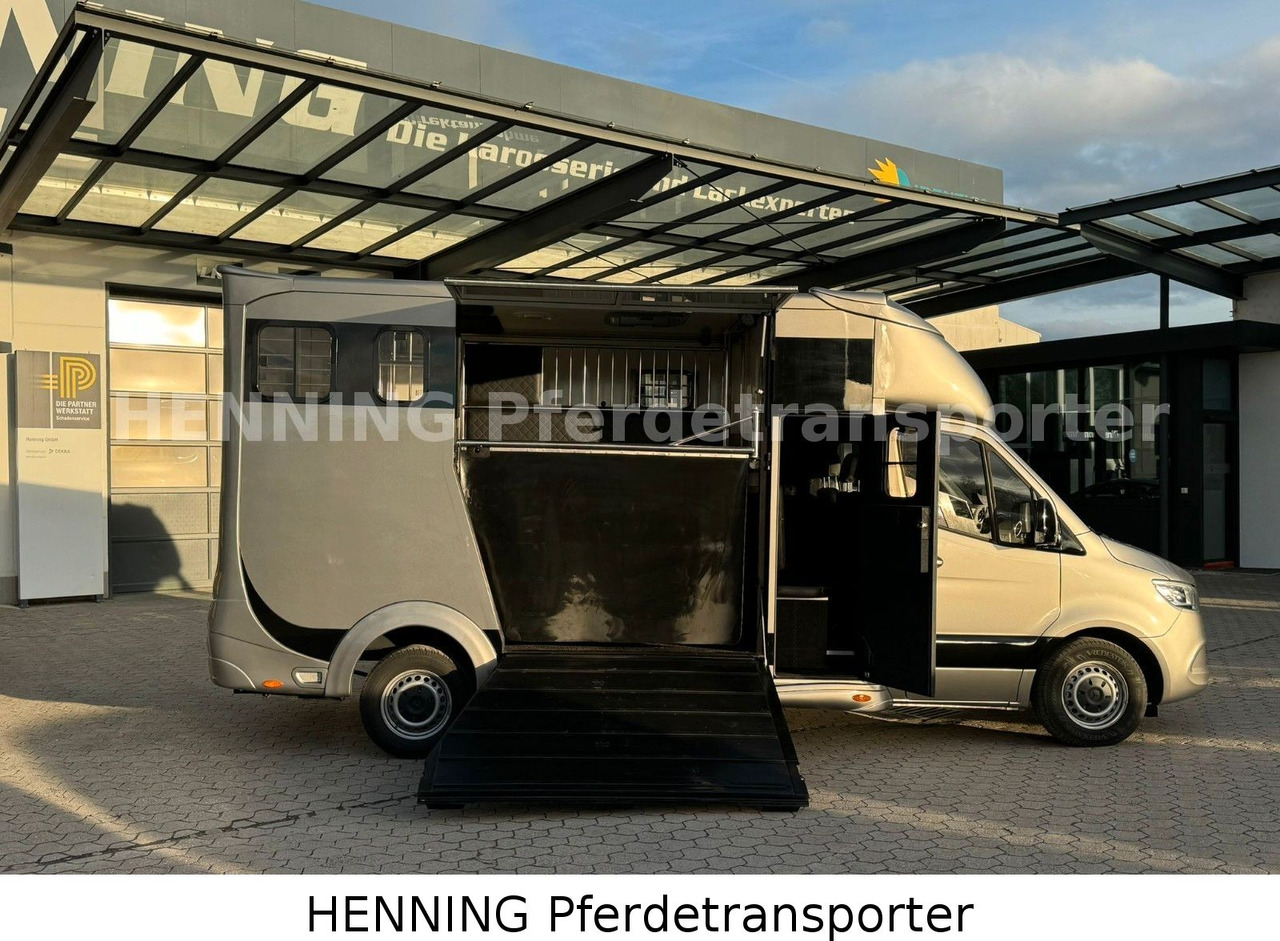 Mercedes-Benz Sprinter 3 - Sitzer - Tiertransporter LKW: das Bild 4 Mercedes-Benz Sprinter 3 - Sitzer - Tiertransporter LKW: das Bild 4