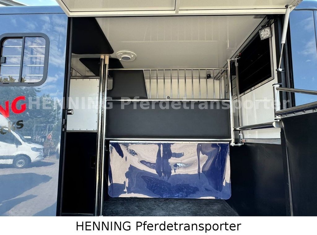 Opel Movano 3 - Sitzer *AUFBAU NEU* Opel Movano 3 - Sitzer *AUFBAU NEU* - Pferdetransporter: das Bild 4 Opel Movano 3 - Sitzer *AUFBAU NEU* Opel Movano 3 - Sitzer *AUFBAU NEU* - Pferdetransporter: das Bild 4