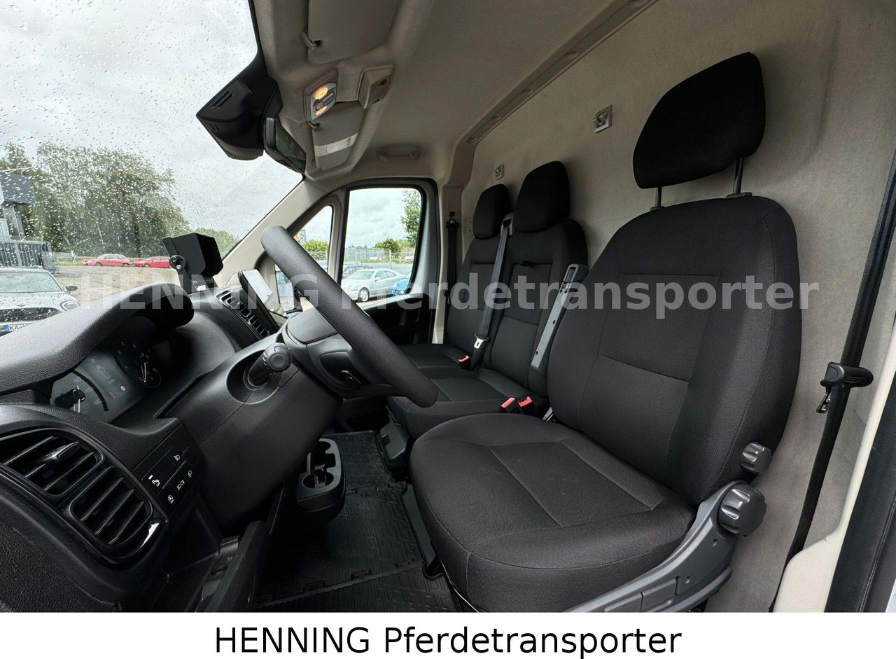 Tiertransporter LKW Peugeot Boxer 3 - Sitzer *GROSSE SATTELKAMMER*: das Bild 16