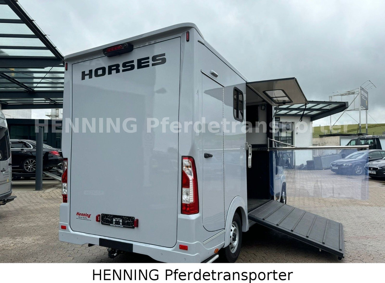 Tiertransporter LKW Peugeot Boxer 3 - Sitzer *GROSSE SATTELKAMMER*: das Bild 14