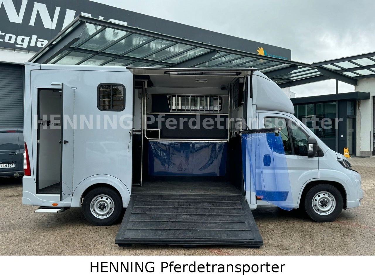Peugeot Boxer 3 - Sitzer *GROSSE SATTELKAMMER* - Tiertransporter LKW: das Bild 5 Peugeot Boxer 3 - Sitzer *GROSSE SATTELKAMMER* - Tiertransporter LKW: das Bild 5