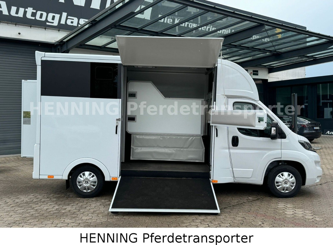 Peugeot Boxer *NEUWAGEN* ca. 1.200kg Nutzlast - Tiertransporter LKW: das Bild 5 Peugeot Boxer *NEUWAGEN* ca. 1.200kg Nutzlast - Tiertransporter LKW: das Bild 5