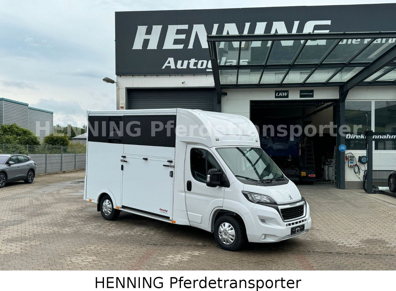 Peugeot Boxer *NEUWAGEN* ca. 1.200kg Nutzlast - Tiertransporter LKW: das Bild 1 Peugeot Boxer *NEUWAGEN* ca. 1.200kg Nutzlast - Tiertransporter LKW: das Bild 1