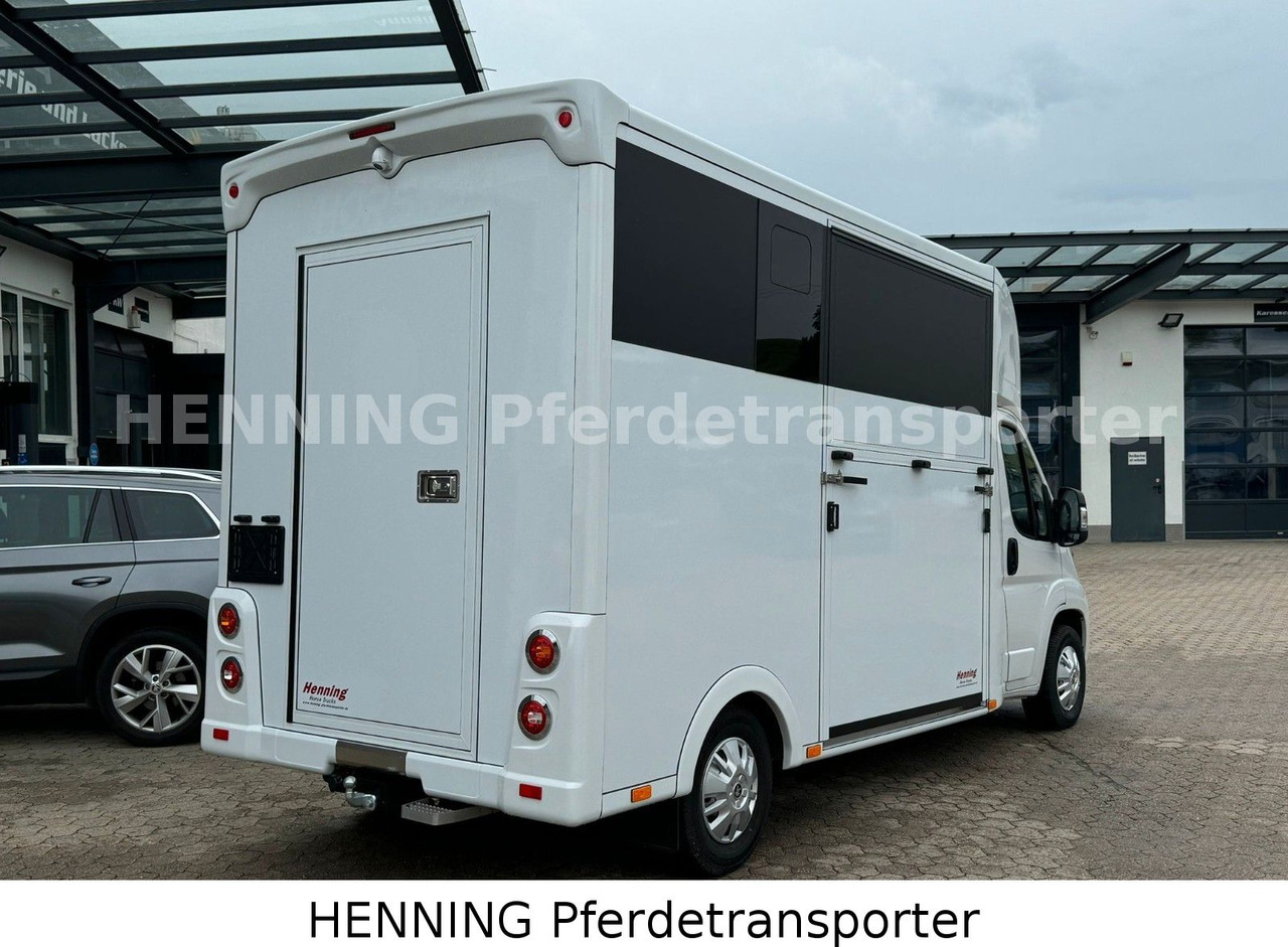 Peugeot Boxer *NEUWAGEN* ca. 1.200kg Nutzlast - Tiertransporter LKW: das Bild 3 Peugeot Boxer *NEUWAGEN* ca. 1.200kg Nutzlast - Tiertransporter LKW: das Bild 3
