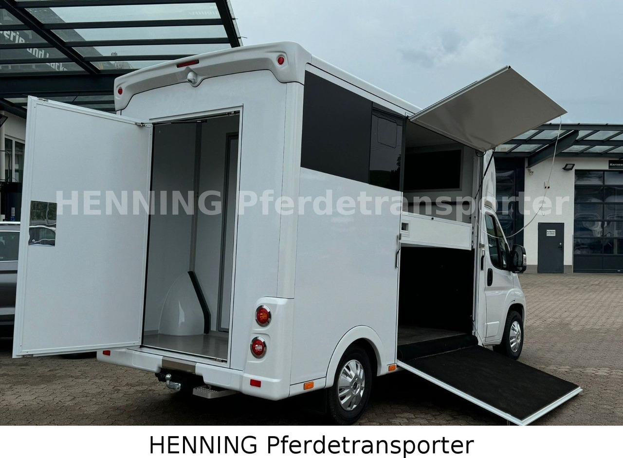 Peugeot Boxer *NEUWAGEN* ca. 1.200kg Nutzlast - Tiertransporter LKW: das Bild 4 Peugeot Boxer *NEUWAGEN* ca. 1.200kg Nutzlast - Tiertransporter LKW: das Bild 4