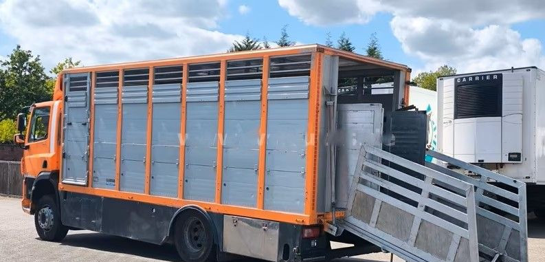 DAF CF 400 Menke Einstock | Transport zwierząt jednopoziomowy | 2 kratownice do bydła| Retarder | Euro 6 - Tiertransporter LKW: das Bild 4 DAF CF 400 Menke Einstock | Transport zwierząt jednopoziomowy | 2 kratownice do bydła| Retarder | Euro 6 - Tiertransporter LKW: das Bild 4
