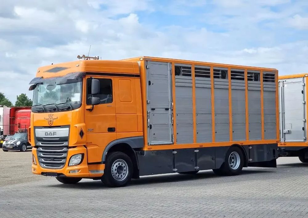 DAF XF 460 4x2 SpaceCab – Menke Livestock | 1 pokład | Euro 6 | 2016 - Tiertransporter LKW: das Bild 2 DAF XF 460 4x2 SpaceCab – Menke Livestock | 1 pokład | Euro 6 | 2016 - Tiertransporter LKW: das Bild 2