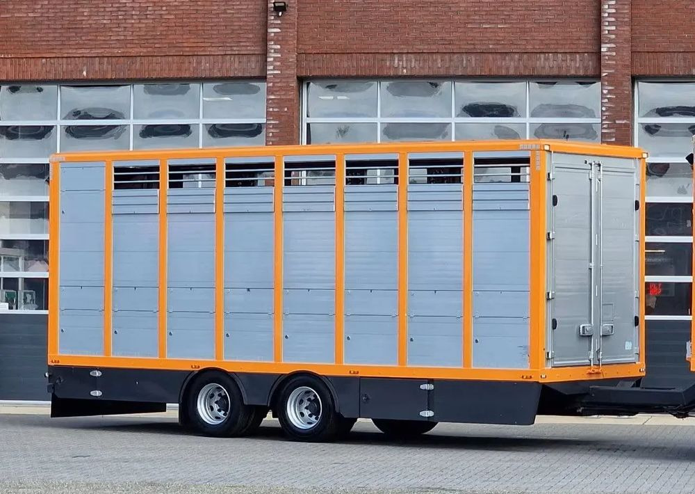 DAF XF 460 4x2 SpaceCab – Menke Livestock | 1 pokład | Euro 6 | 2016 - Tiertransporter LKW: das Bild 5 DAF XF 460 4x2 SpaceCab – Menke Livestock | 1 pokład | Euro 6 | 2016 - Tiertransporter LKW: das Bild 5