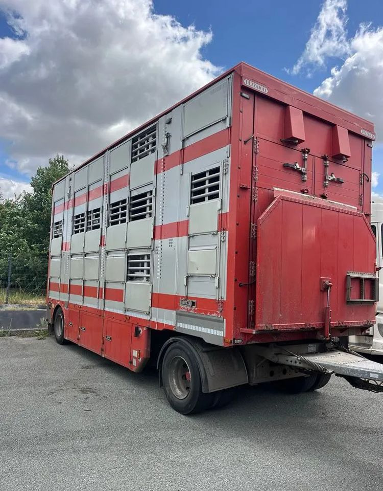 DAF XF 530 + Przyczepa Pezzaoli - 3X Trzoda, 2 X Bydło I 3 poziomy I Podnoszony dach I Hydroburta I Osie Skrętne I Poidła I Wentylatory I Pilot Manualny | - Tiertransporter LKW: das Bild 4 DAF XF 530 + Przyczepa Pezzaoli - 3X Trzoda, 2 X Bydło I 3 poziomy I Podnoszony dach I Hydroburta I Osie Skrętne I Poidła I Wentylatory I Pilot Manualny | - Tiertransporter LKW: das Bild 4