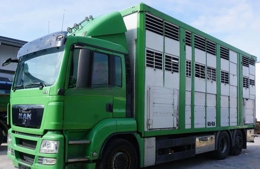MAN TGS 26.440 ZABUDOWA KABA CAŁA ALUMINIOWA– samochód do transportu zwierząt/koni – 3 pokłady / EURO 5/6X2/PODNOSZONY DACH - Tiertransporter LKW: das Bild 1 MAN TGS 26.440 ZABUDOWA KABA CAŁA ALUMINIOWA– samochód do transportu zwierząt/koni – 3 pokłady / EURO 5/6X2/PODNOSZONY DACH - Tiertransporter LKW: das Bild 1
