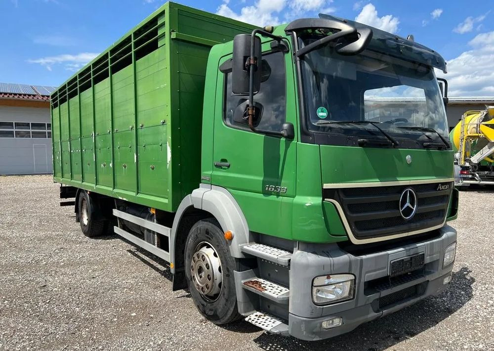 Mercedes-Benz Axor 1833 6x2 | Samochód do transportu bydła | 2009 | 450 000 km - Tiertransporter LKW: das Bild 3 Mercedes-Benz Axor 1833 6x2 | Samochód do transportu bydła | 2009 | 450 000 km - Tiertransporter LKW: das Bild 3