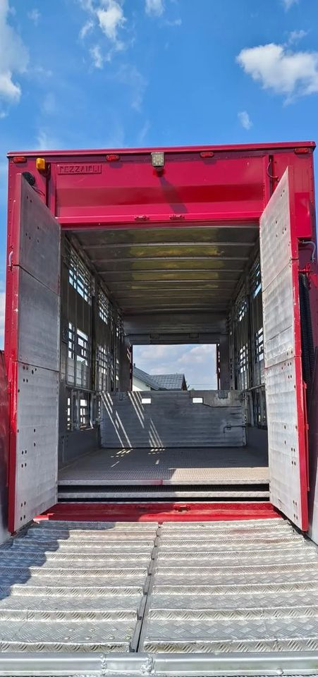 Tiertransporter Anhänger Pezzaioli RBA 32/TRZYOSIOWA PRZYCZEPA-2XBYDŁO,3X TRZODA/HYDRAULICZNIE PODNOSZONY DACH I PODŁOGI / OŚ ŚRODKOWA PODNOSZONA: das Bild 16