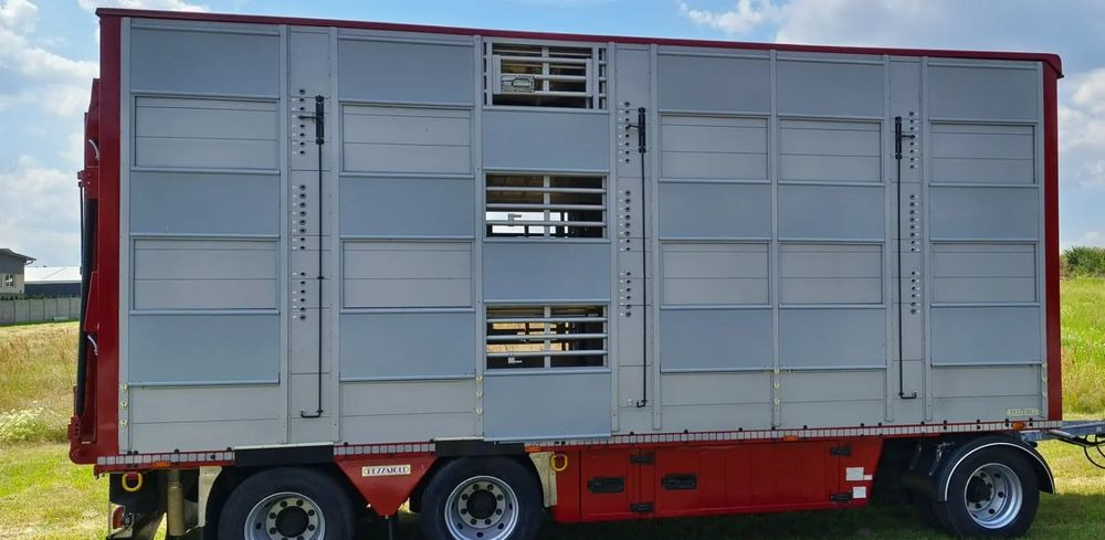 Tiertransporter Anhänger Pezzaioli RBA 32/TRZYOSIOWA PRZYCZEPA-2XBYDŁO,3X TRZODA/HYDRAULICZNIE PODNOSZONY DACH I PODŁOGI / OŚ ŚRODKOWA PODNOSZONA: das Bild 6