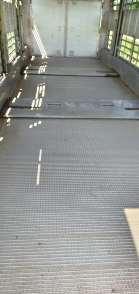 Tiertransporter Anhänger Pezzaioli RBA 32/TRZYOSIOWA PRZYCZEPA-2XBYDŁO,3X TRZODA/HYDRAULICZNIE PODNOSZONY DACH I PODŁOGI / OŚ ŚRODKOWA PODNOSZONA: das Bild 14