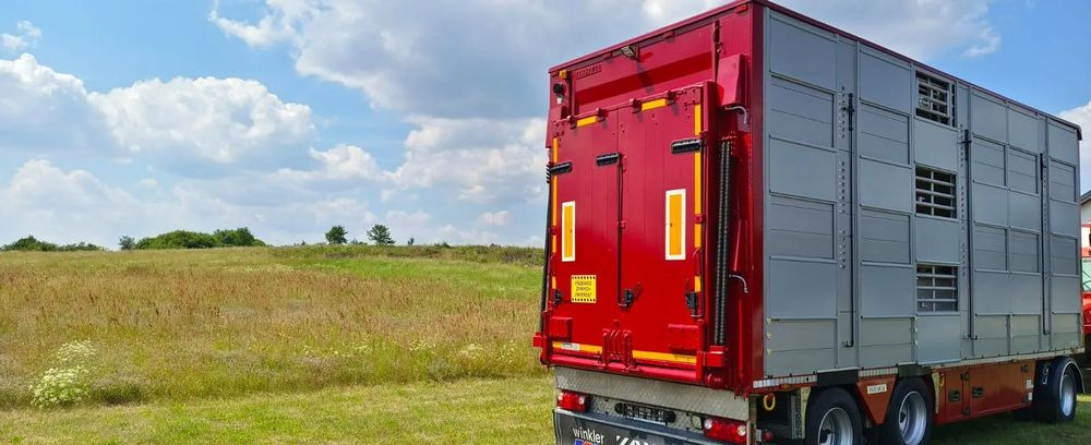 Tiertransporter Anhänger Pezzaioli RBA 32/TRZYOSIOWA PRZYCZEPA-2XBYDŁO,3X TRZODA/HYDRAULICZNIE PODNOSZONY DACH I PODŁOGI / OŚ ŚRODKOWA PODNOSZONA: das Bild 12