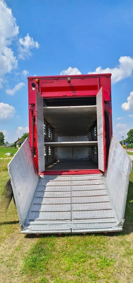 Tiertransporter Anhänger Pezzaioli RBA 32/TRZYOSIOWA PRZYCZEPA-2XBYDŁO,3X TRZODA/HYDRAULICZNIE PODNOSZONY DACH I PODŁOGI / OŚ ŚRODKOWA PODNOSZONA: das Bild 8
