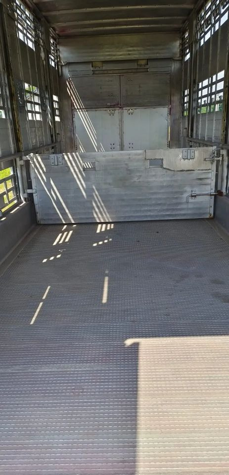 Tiertransporter Anhänger Pezzaioli RBA 32/TRZYOSIOWA PRZYCZEPA-2XBYDŁO,3X TRZODA/HYDRAULICZNIE PODNOSZONY DACH I PODŁOGI / OŚ ŚRODKOWA PODNOSZONA: das Bild 15