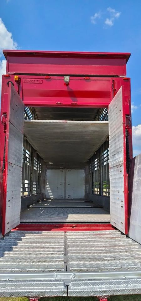 Tiertransporter Anhänger Pezzaioli RBA 32/TRZYOSIOWA PRZYCZEPA-2XBYDŁO,3X TRZODA/HYDRAULICZNIE PODNOSZONY DACH I PODŁOGI / OŚ ŚRODKOWA PODNOSZONA: das Bild 10