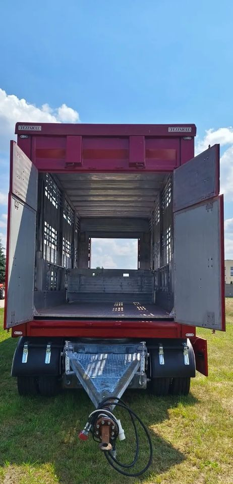 Tiertransporter Anhänger Pezzaioli RBA 32/TRZYOSIOWA PRZYCZEPA-2XBYDŁO,3X TRZODA/HYDRAULICZNIE PODNOSZONY DACH I PODŁOGI / OŚ ŚRODKOWA PODNOSZONA: das Bild 19