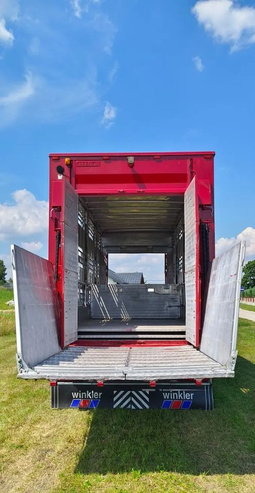 Tiertransporter Anhänger Pezzaioli RBA 32/TRZYOSIOWA PRZYCZEPA-2XBYDŁO,3X TRZODA/HYDRAULICZNIE PODNOSZONY DACH I PODŁOGI / OŚ ŚRODKOWA PODNOSZONA: das Bild 18