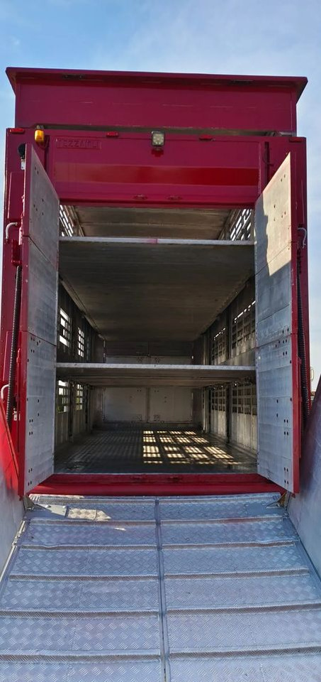 Pezzaioli RBA 32/TRZYOSIOWA PRZYCZEPA-2XBYDŁO,3X TRZODA - Tiertransporter Anhänger: das Bild 5 Pezzaioli RBA 32/TRZYOSIOWA PRZYCZEPA-2XBYDŁO,3X TRZODA - Tiertransporter Anhänger: das Bild 5