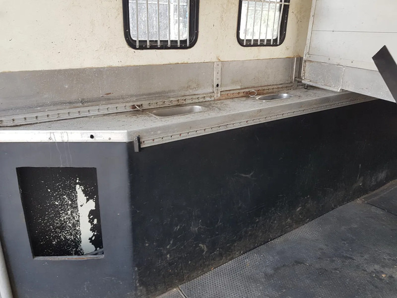Pferdetransporter DAF 95.350 Paardenwagen met zitverblijf 7 paarden 7 horses: das Bild 8