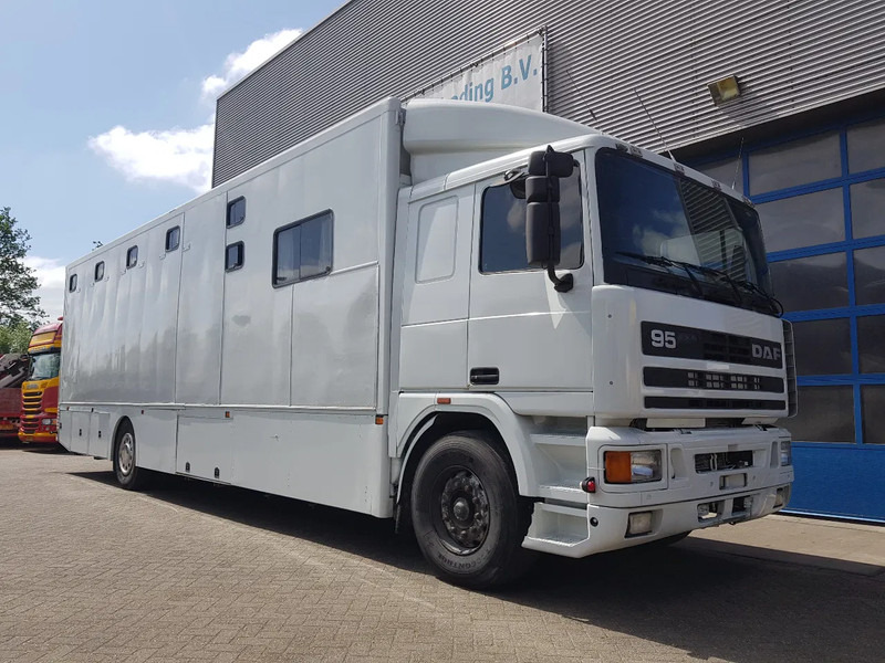 Pferdetransporter DAF 95.350 Paardenwagen met zitverblijf 7 paarden 7 horses: das Bild 11