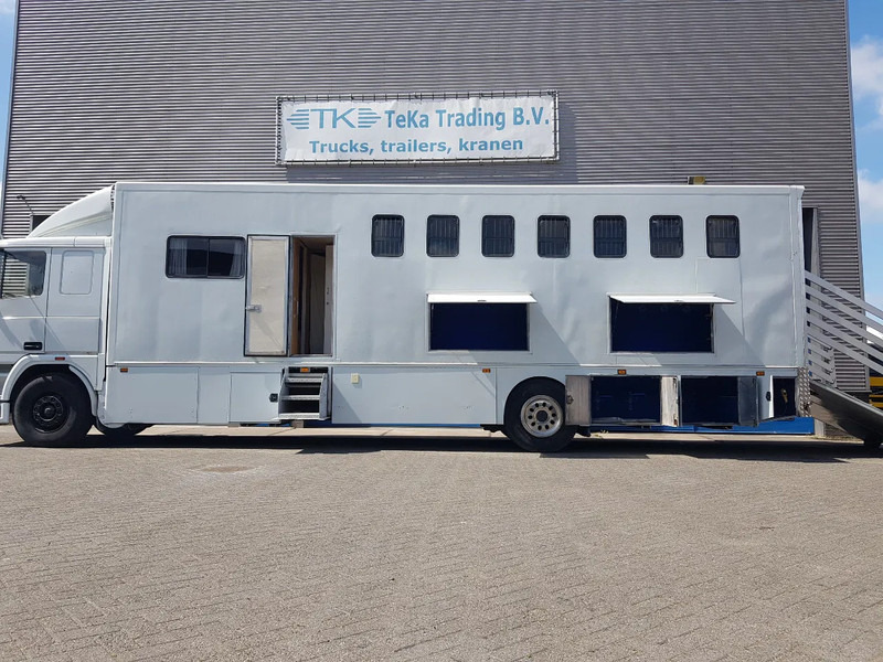 Pferdetransporter DAF 95.350 Paardenwagen met zitverblijf 7 paarden 7 horses: das Bild 9
