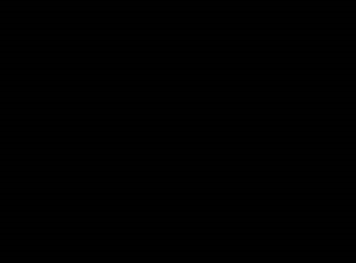 CAT 980 - Radlader: das Bild 3 CAT 980 - Radlader: das Bild 3