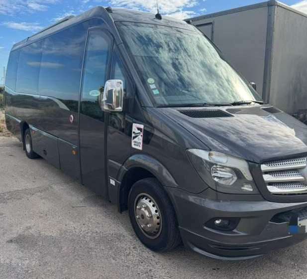 Mercedes-Benz SPICA / SPRINTER 519 / SPROWADZONY / KLIMA / TV - Reisebus: das Bild 1 Mercedes-Benz SPICA / SPRINTER 519 / SPROWADZONY / KLIMA / TV - Reisebus: das Bild 1