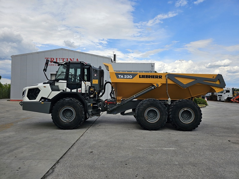 LIEBHERR TA230 Litronic - Knickgelenkter Dumper: das Bild 1 LIEBHERR TA230 Litronic - Knickgelenkter Dumper: das Bild 1