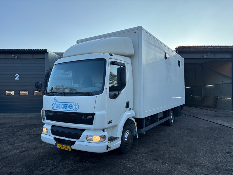 DAF LF 45.150 4 paards, laadlift. Horsetruck NL truck - Tiertransporter LKW: das Bild 1 DAF LF 45.150 4 paards, laadlift. Horsetruck NL truck - Tiertransporter LKW: das Bild 1