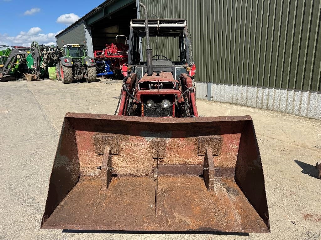International 584 c/w International Loader - Traktor: das Bild 5 International 584 c/w International Loader - Traktor: das Bild 5