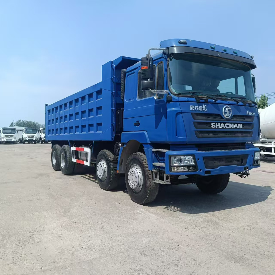 Shacman F3000 - Kipper: das Bild 4 Shacman F3000 - Kipper: das Bild 4