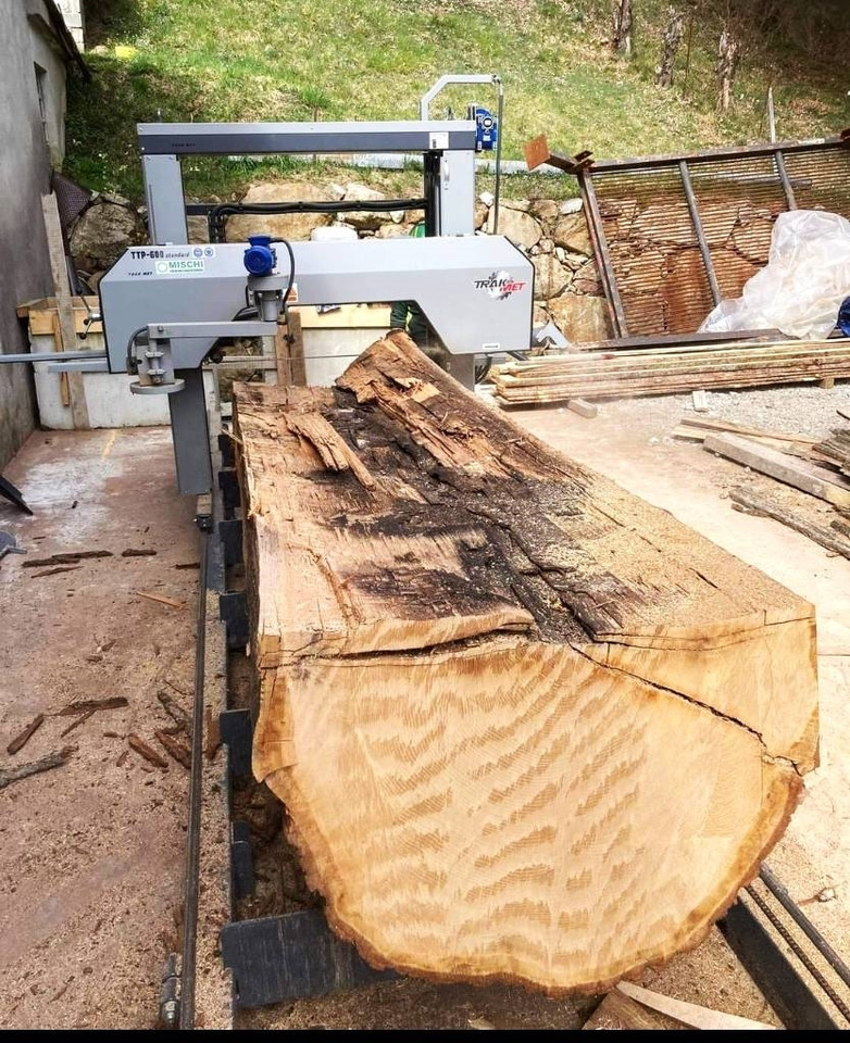 Trak-Met Trak taśmowy Big 160 cm TTP-600/1500 - Forstmaschine: das Bild 5 Trak-Met Trak taśmowy Big 160 cm TTP-600/1500 - Forstmaschine: das Bild 5