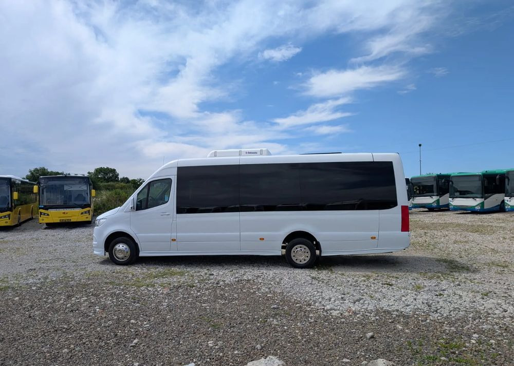 Kleinbus, Personentransporter Mercedes-Benz Sprinter 517: das Bild 9