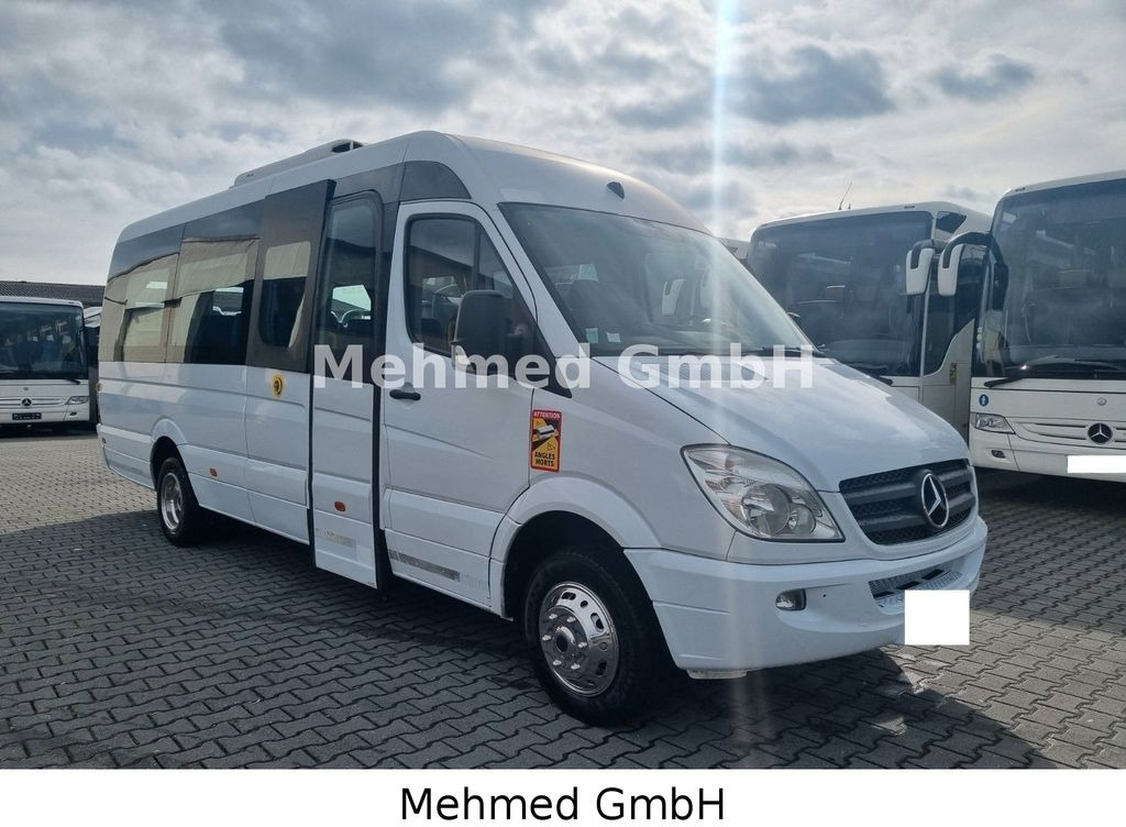 Kleinbus, Personentransporter Mercedes-Benz Sprinter 516 CDi: das Bild 1