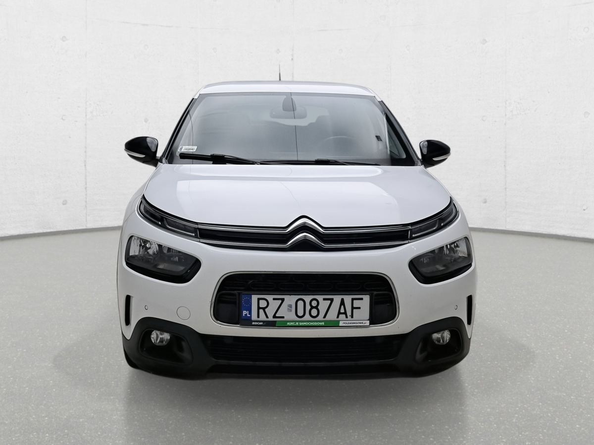 CITROEN C4 CACTUS SUV - SUV/ Geländewagen: das Bild 3 CITROEN C4 CACTUS SUV - SUV/ Geländewagen: das Bild 3
