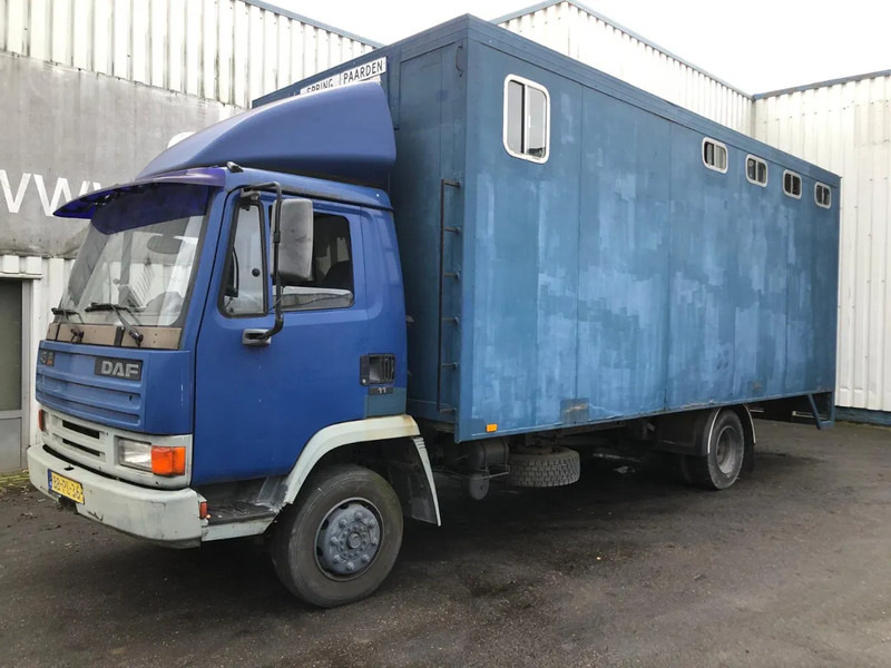 DAF 45 - 150 , Turbo , Horse truck , Spring Suspension - Koffer LKW: das Bild 1 DAF 45 - 150 , Turbo , Horse truck , Spring Suspension - Koffer LKW: das Bild 1