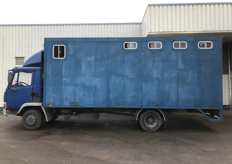 DAF 45 - 150 , Turbo , Horse truck , Spring Suspension - Koffer LKW: das Bild 2 DAF 45 - 150 , Turbo , Horse truck , Spring Suspension - Koffer LKW: das Bild 2