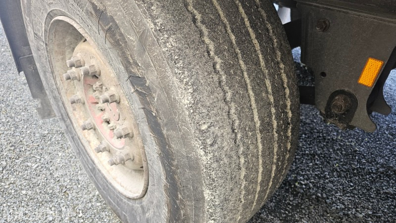 Anhänger 2018 Schmitz Cargobull frysesemi med BAR cargolift: das Bild 16