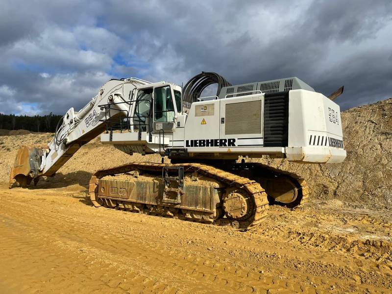 Kettenbagger Liebherr R984C: das Bild 19