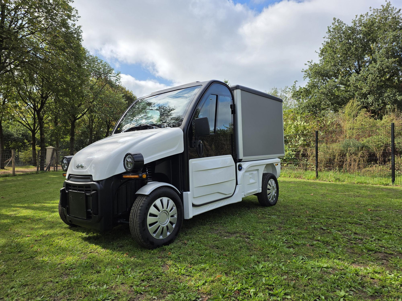 Legier pulse 4 lithuim - Golfmobil: das Bild 1 Legier pulse 4 lithuim - Golfmobil: das Bild 1