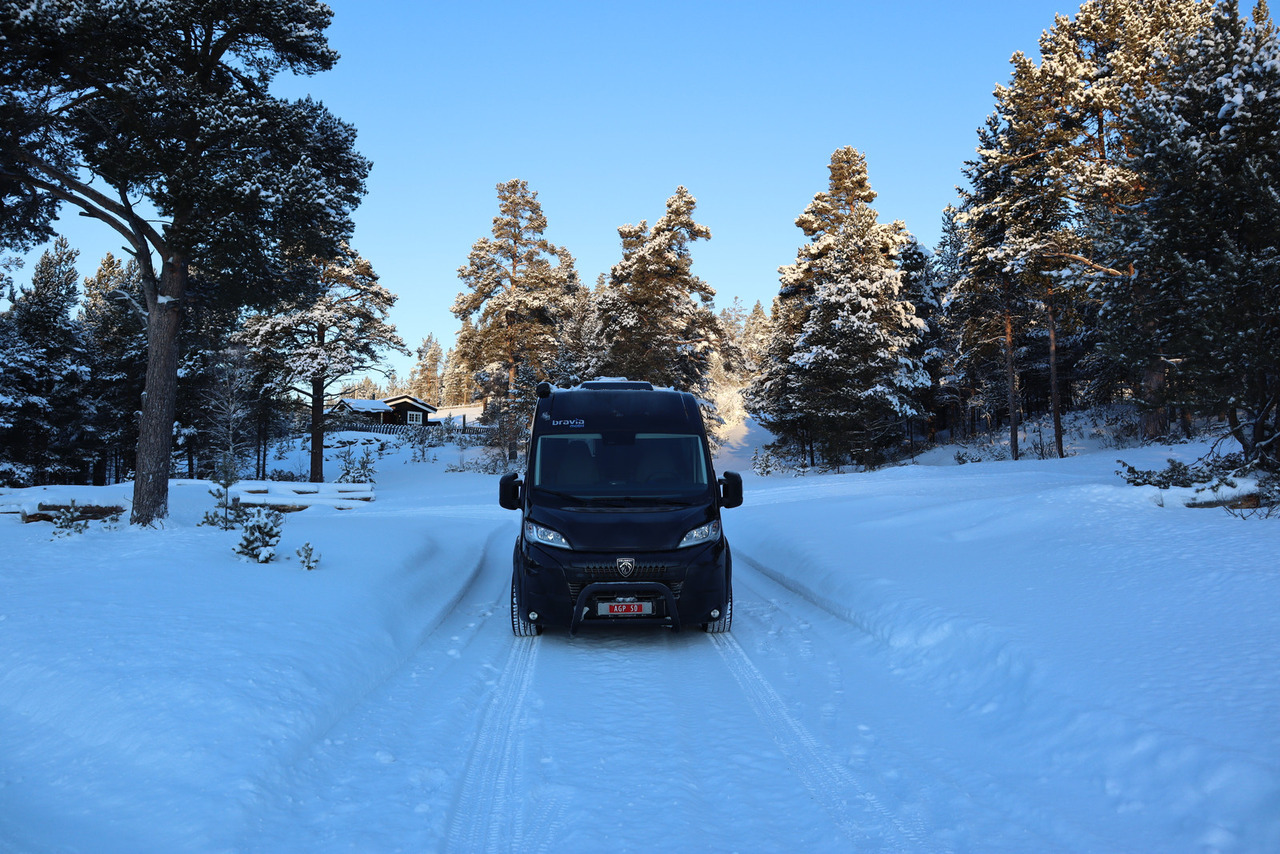 Bravia Swan 599 Nordic - Camper Van: das Bild 3 Bravia Swan 599 Nordic - Camper Van: das Bild 3