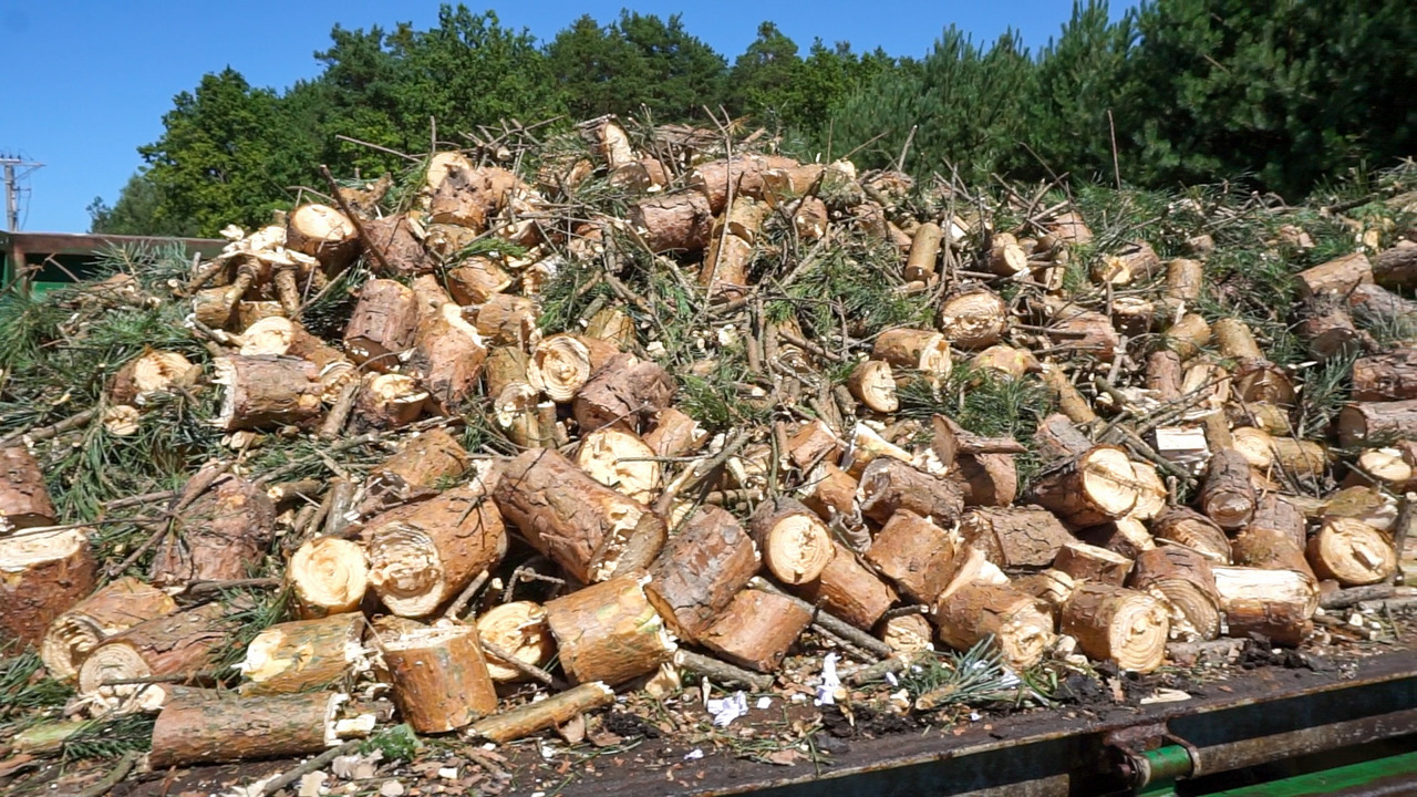 REMET RĘBAK WOM MODEL R-120 + TAŚMOCIĄG 2,3M - Holzschredder: das Bild 3 REMET RĘBAK WOM MODEL R-120 + TAŚMOCIĄG 2,3M - Holzschredder: das Bild 3